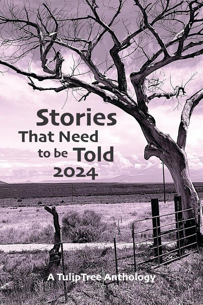 Stories that Need to be Told 2024 cover